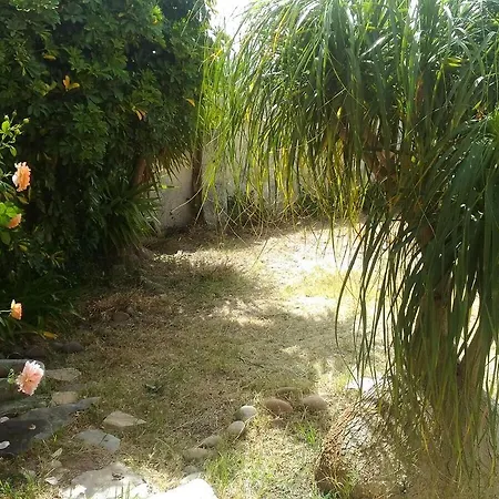 Casa Il Gelsomino * Alcamo