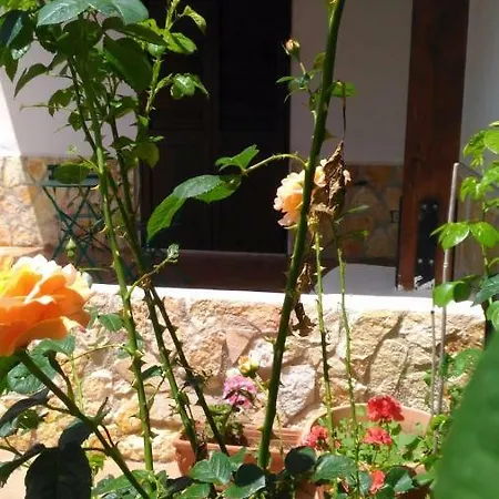 Casa Il Gelsomino * Alcamo